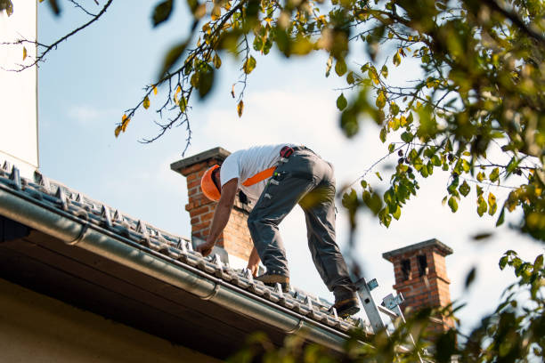 Best Commercial Roofing Services  in Detroit, MI