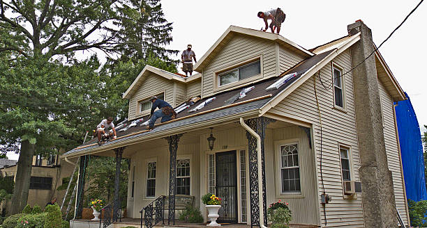 Best Metal Roofing Contractor  in Detroit, MI