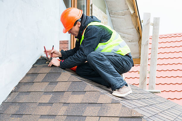 Best Roof Maintenance Services  in Detroit, MI