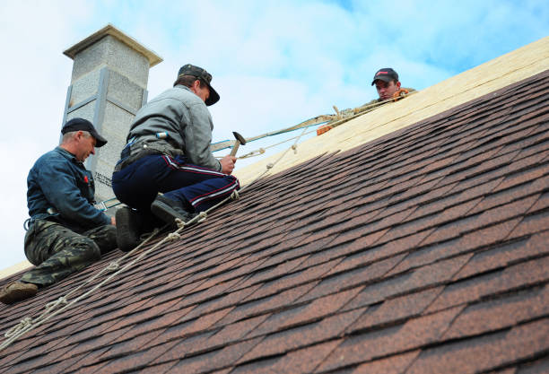 Best Residential Roof Replacement  in Detroit, MI