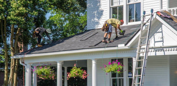 Best Roof Repair Services  in Detroit, MI